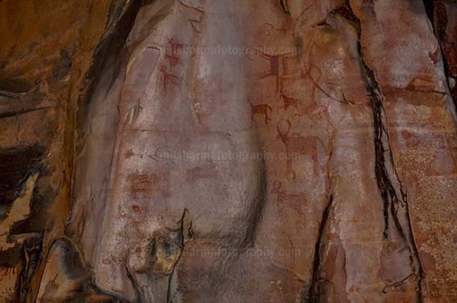 Archaeology- Bhimbetka Rock Shelters (India) Prehistoric Rock Paintings of different animals at Bhimbetka archaeological site, Raisen, Madhya Pradesh, India by Anil