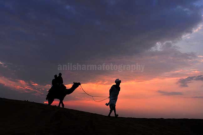 Festivals- Jaisalmer Desert Festival, Rajasthan Tourists enjoying camel ride at Jaisalmer desert festival. by Anil