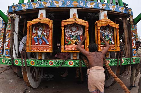 Festivals- Jagannath Rath Yatra (Odisha) A devotee praying to the idols assembled on the chariot for Jagannath Rath Yatra festival at Puri, Odisha, India. by Anil