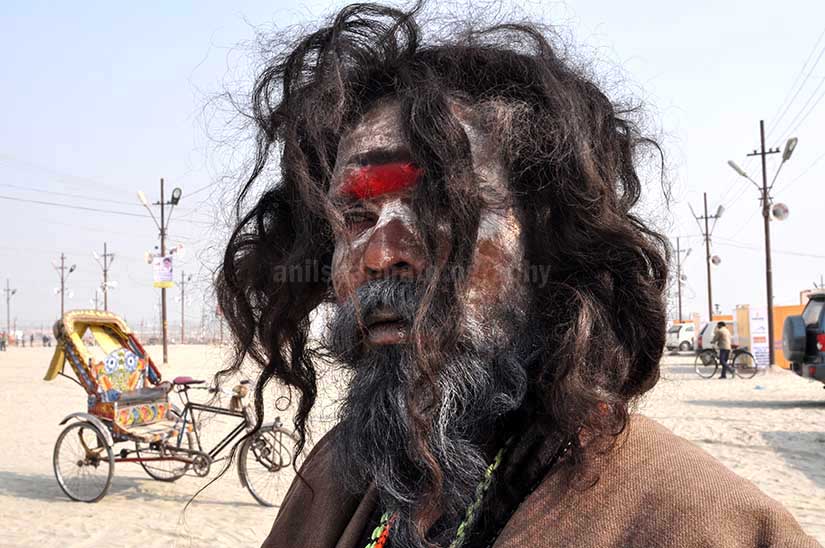 Culture- Aghori Sadhu, Uttar Pradesh (India). Long hair Aghori Sadhu wearing rudraksha bead at Mahakumbh, Allahabad, Uttar Pradesh, India. by Anil