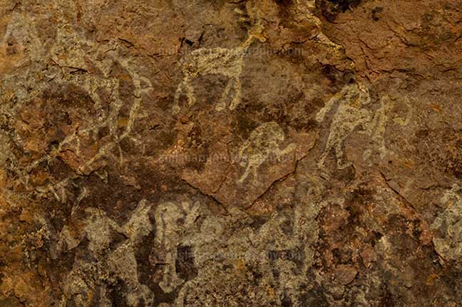 Archaeology- Bhimbetka Rock Shelters Raisen, Madhya Pradesh, India. (Photo: Anil Sharma) Prehistoric warriors on horses in white colour at the Bhimbetka archaeological site, Raisen, Madhya Pradesh, India. by Anil