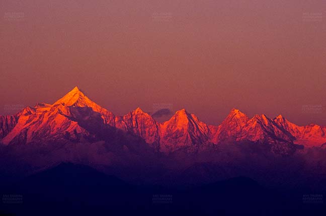 Mountains- Panchchuli Peaks (India) Pink color Panchchuli Peaks view from Munsyari at Uttarakhand, India. by Anil