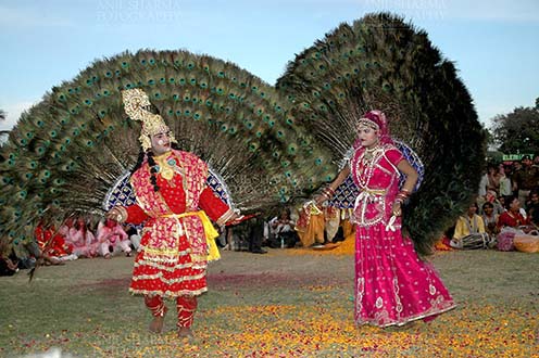 Festivals- Holi and Elephant Festival (Jaipur) Rajasthani folk artists performing Radha-Krishna's peacock dance at Holi and Elephant Festival at jaipur, Rajasthan (India).
. by Anil