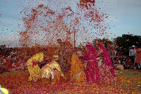 Festivals- Holi and Elephant Festival (Jaipur) People celebrating Holi Festival with flowers at jaipur, Rajasthan (India). by Anil