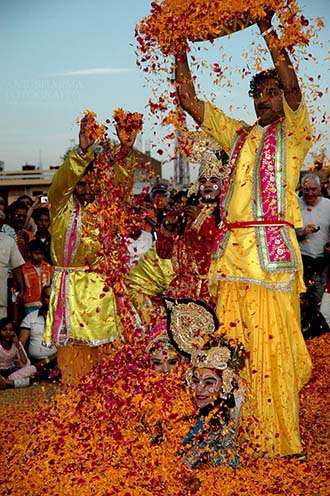 Festivals- Holi and Elephant Festival (Jaipur) People sprinkling rose and merigold petals on Radha-Krishana at Holi and Elephant Festival at jaipur, Rajasthan (India).
. by Anil