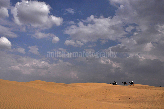 Festivals- Jaisalmer Desert Festival, Rajasthan Beautiful Thar desert with blue sky. by Anil