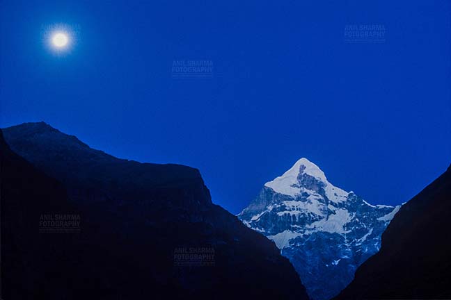 Mountains- Neelkanth Peak (India) Snow covered Neelkanth Peak on full moon night at Uttarakhand, India. by Anil