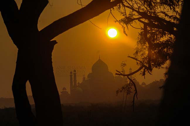 Monuments- Taj Mahal, Agra (India) The Beauty of Taj Mahal "The Jewel of Muslim art in India" early in the morning at Agra, Uttar Pradesh, India. by Anil