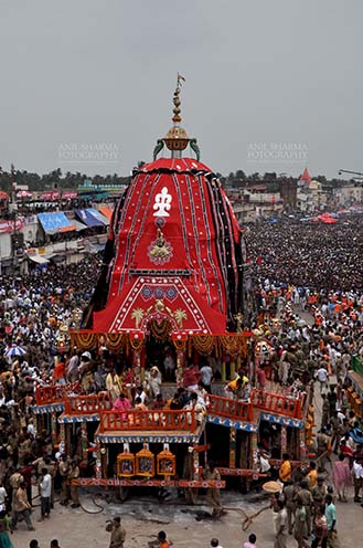 Festivals- Jagannath Rath Yatra (Odisha) Massive chariot of Lord Balbhadra surrounded by thousands of enthused pilgrims, for Jagannath Rath Yatra festival at Puri, Odisha, India. by Anil