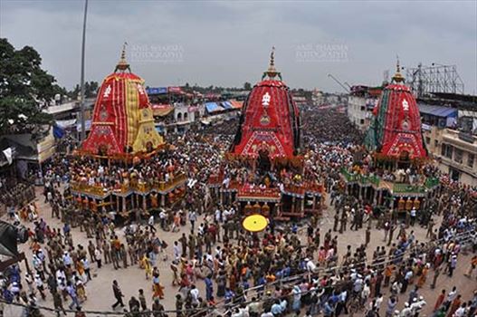 Festivals- Jagannath Rath Yatra (Odisha) by Anil