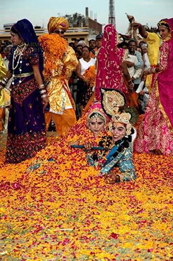 Festivals- Holi and Elephant Festival (Jaipur) by Anil