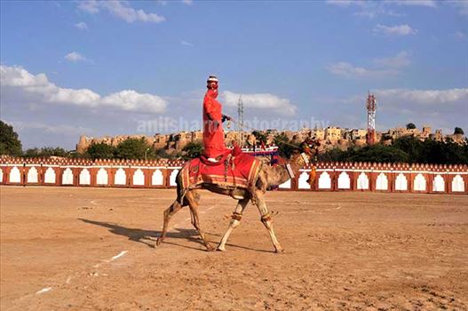 Festivals- Jaisalmer Desert Festival, Rajasthan by Anil