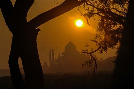 Monuments- Taj Mahal, Agra (India) by Anil