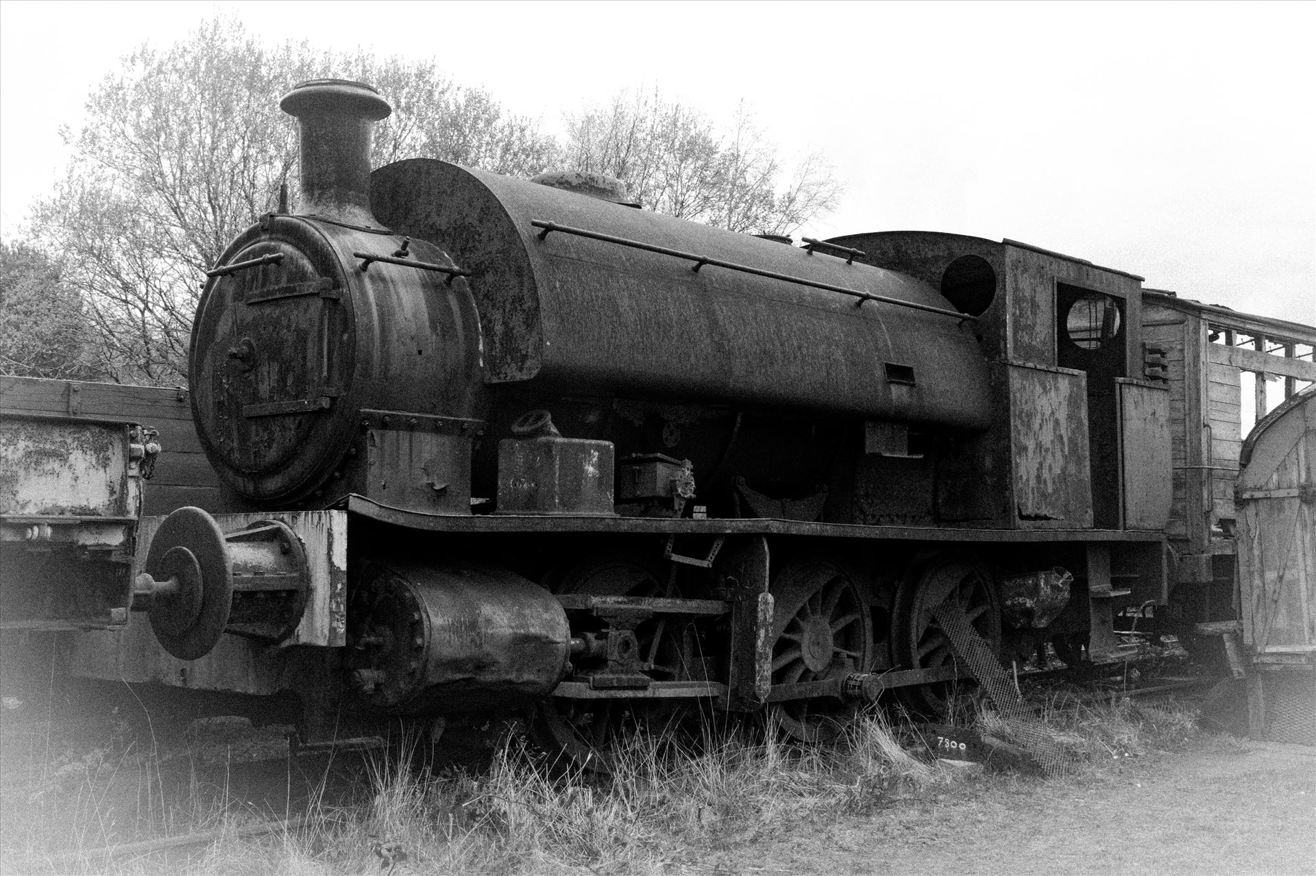 Old Steamer An old steam train sat rusting away at Tanfield Railway by AJ Stoves Photography