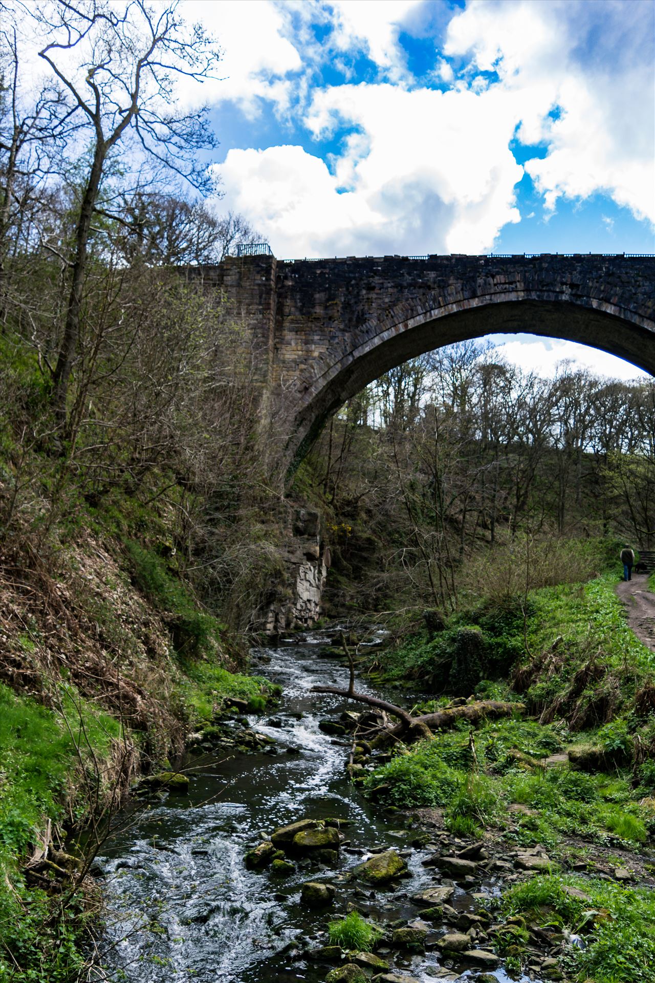 Stream Under Arch Taken close to Tanfield Railway in the summer of 2017 by AJ Stoves Photography