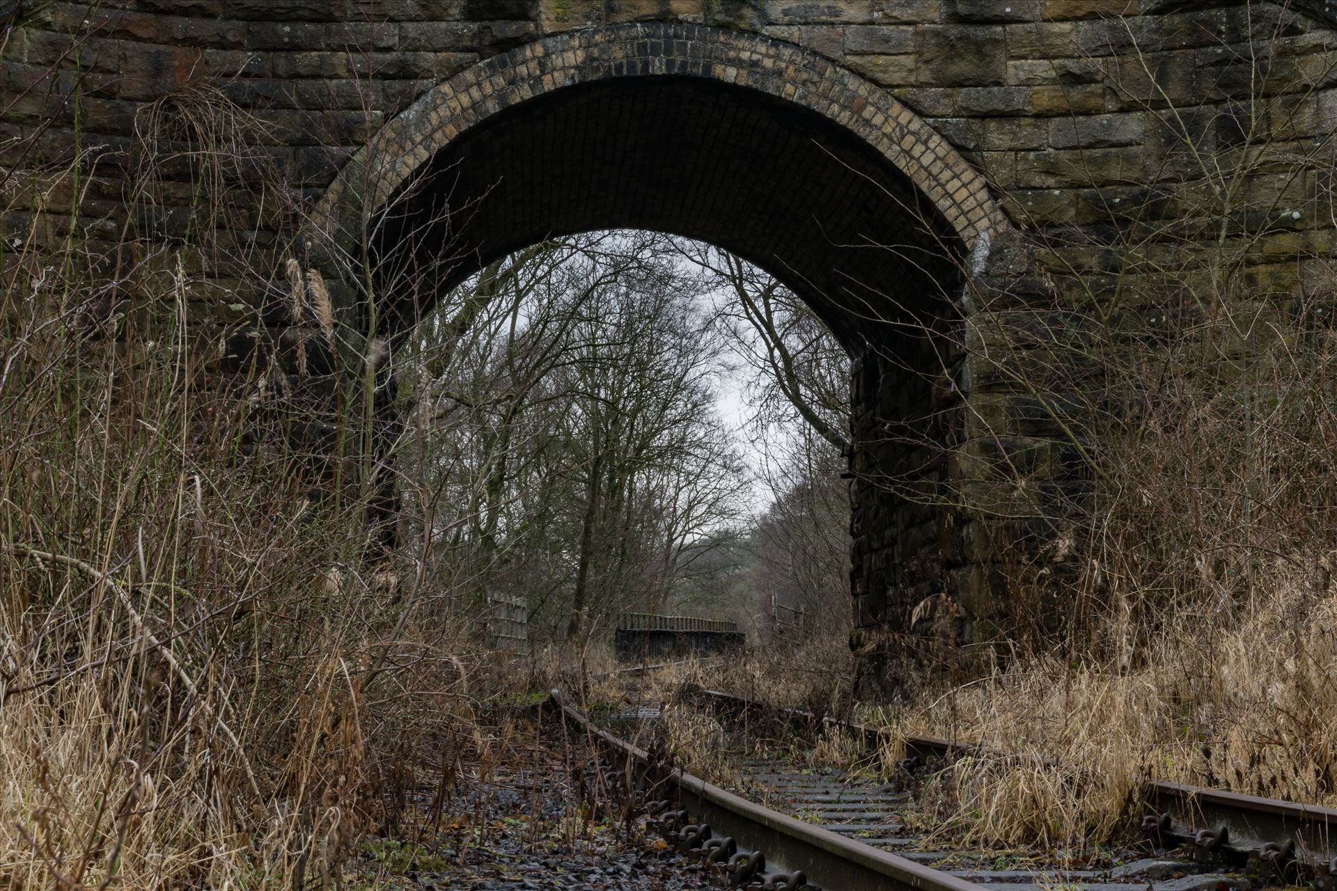 Abandoned Railway Bridge and Tunnel Taken on 11/01/18 near Stanhope by AJ Stoves Photography