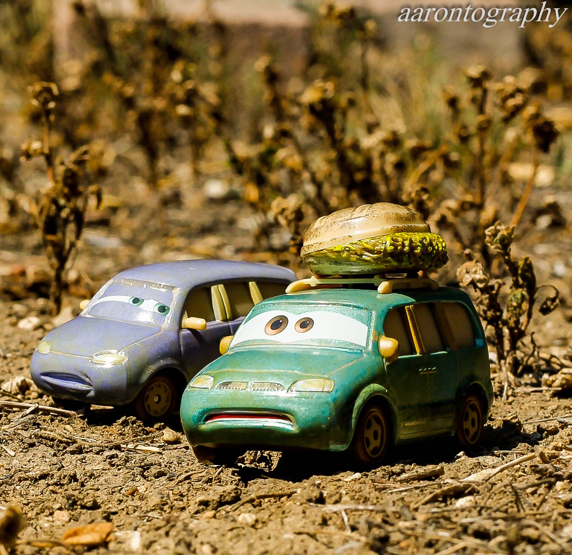 Mini and Van are lost.jpg undefined by Aaron