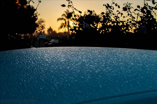 DEW ON THE ROOF.JPG by Aaron