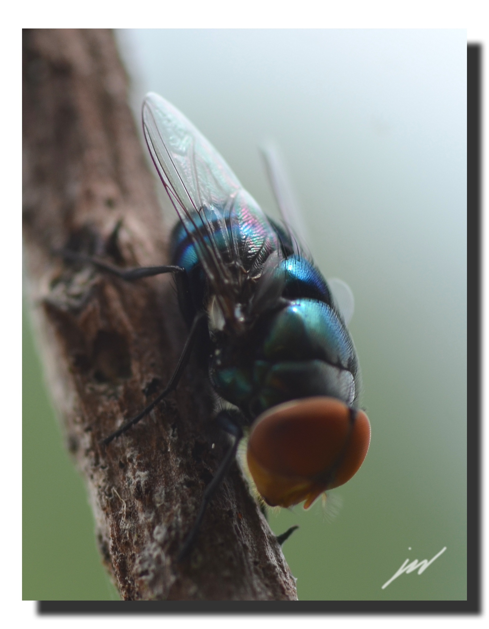 IMG_20150821_202236.jpg  by WPC-241