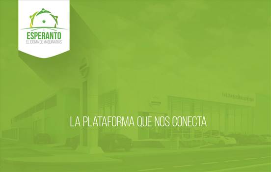 fondo2 copia 3.jpg - 