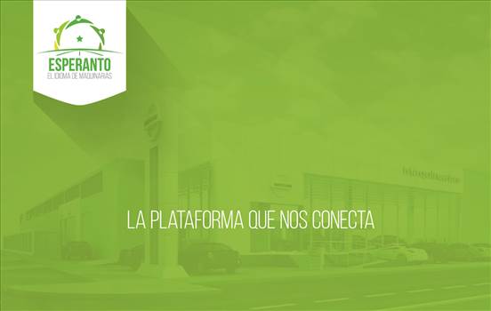 fondo2 copia 2.jpg - 