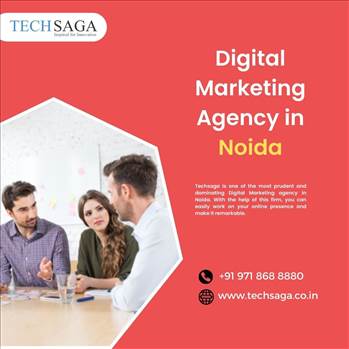 Digital Marketing Agency in Noida.jpg by techsaga