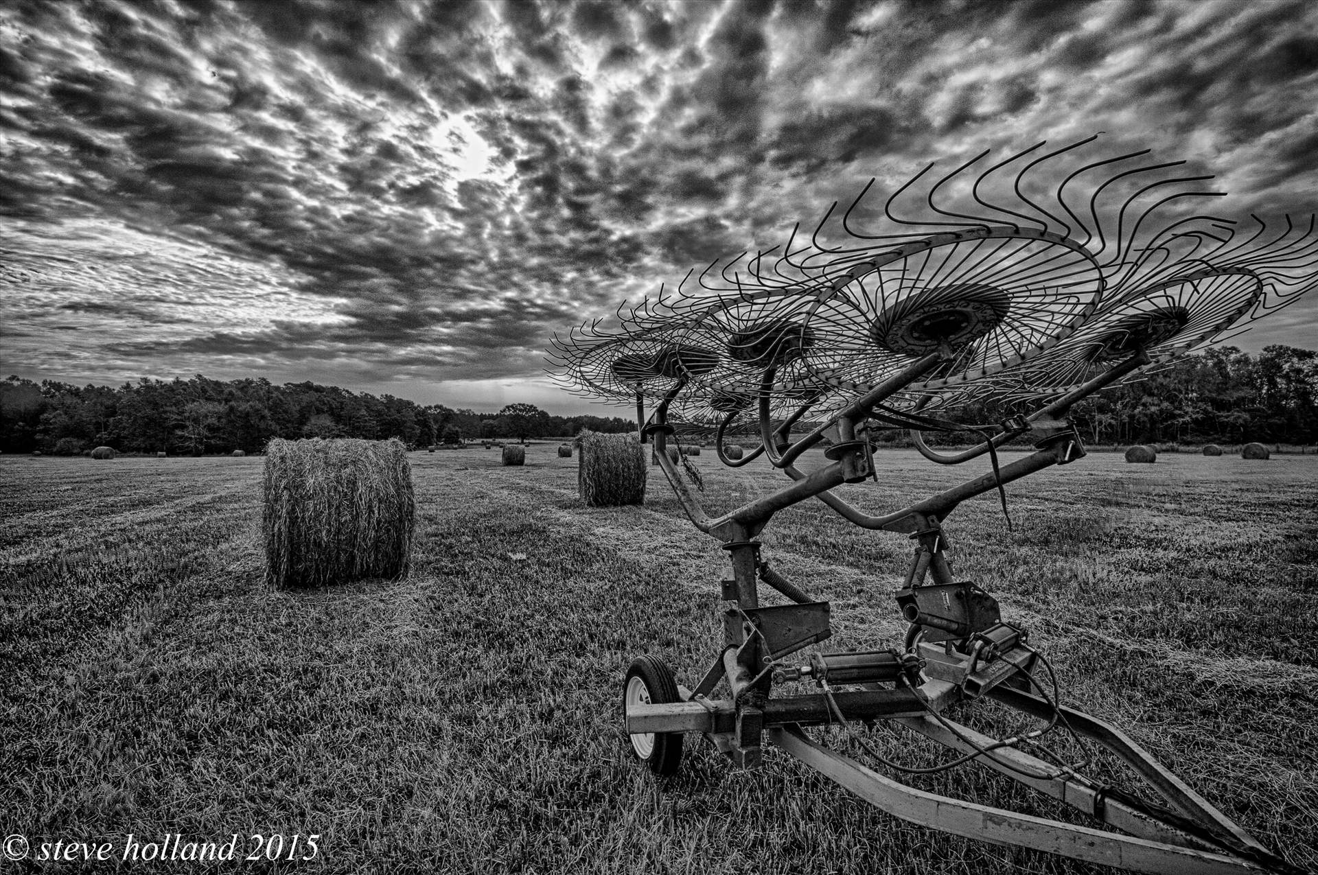 hay (112 of 1).jpg undefined by Steve Holland