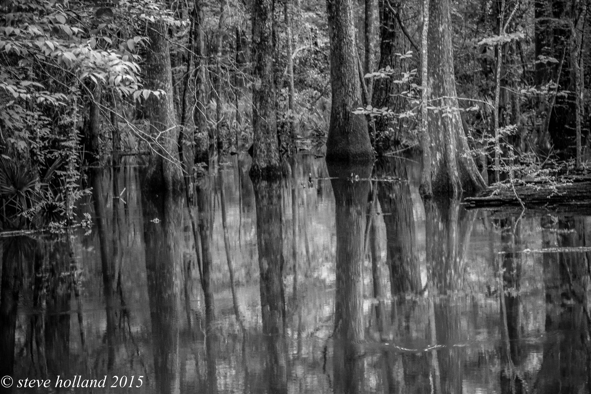 bw  pond (1 of 1).jpg undefined by Steve Holland