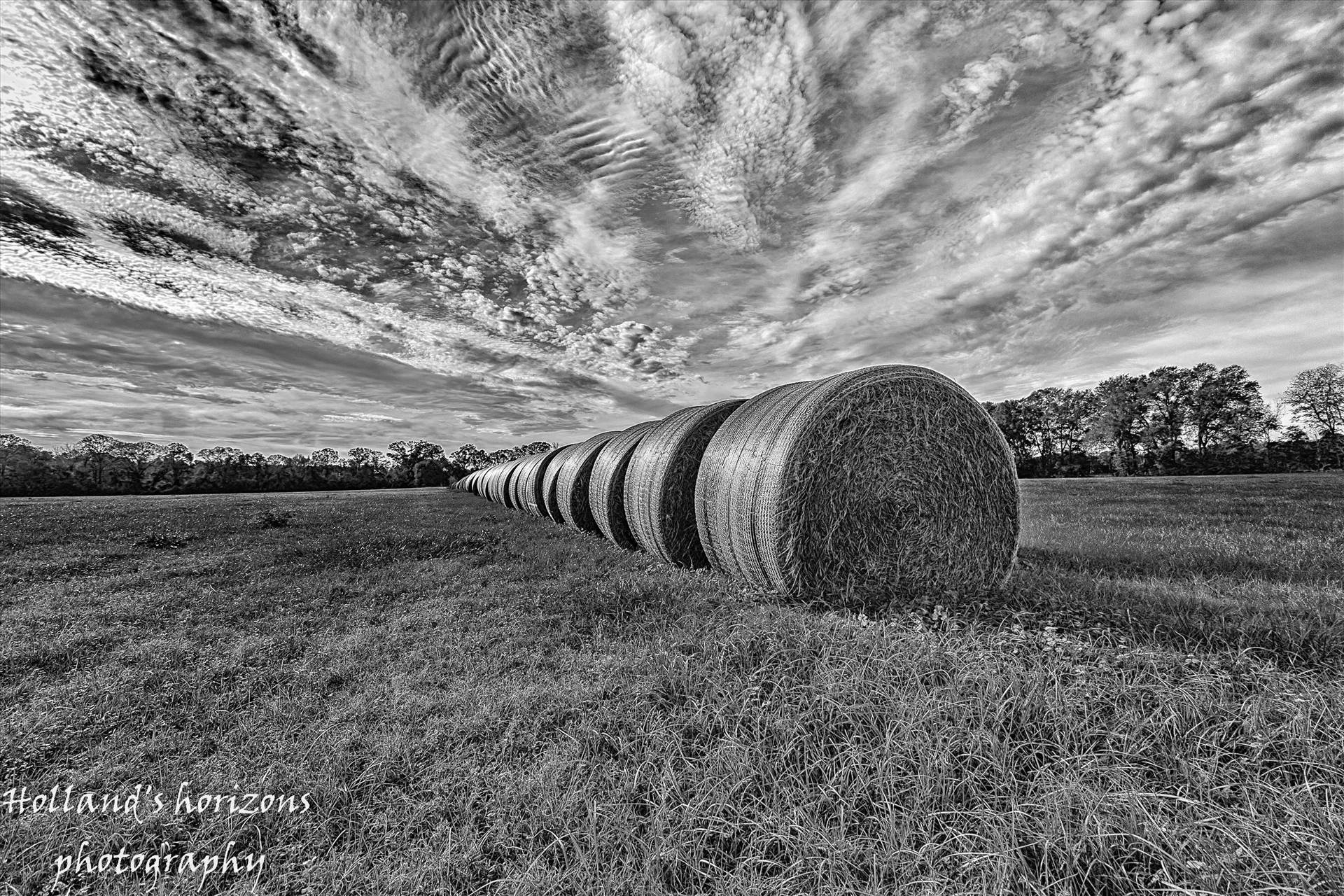 hay roll.jpg undefined by Steve Holland