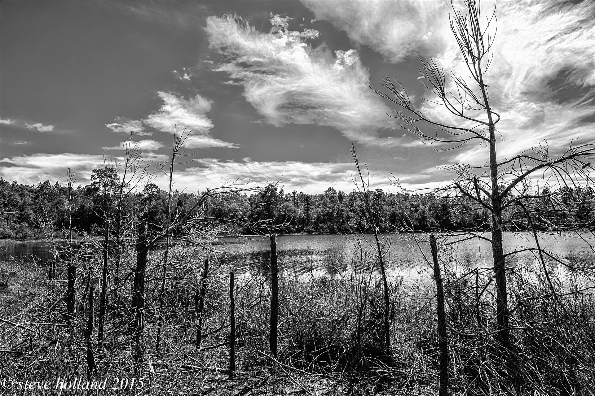 pond (112 of 1).jpg undefined by Steve Holland