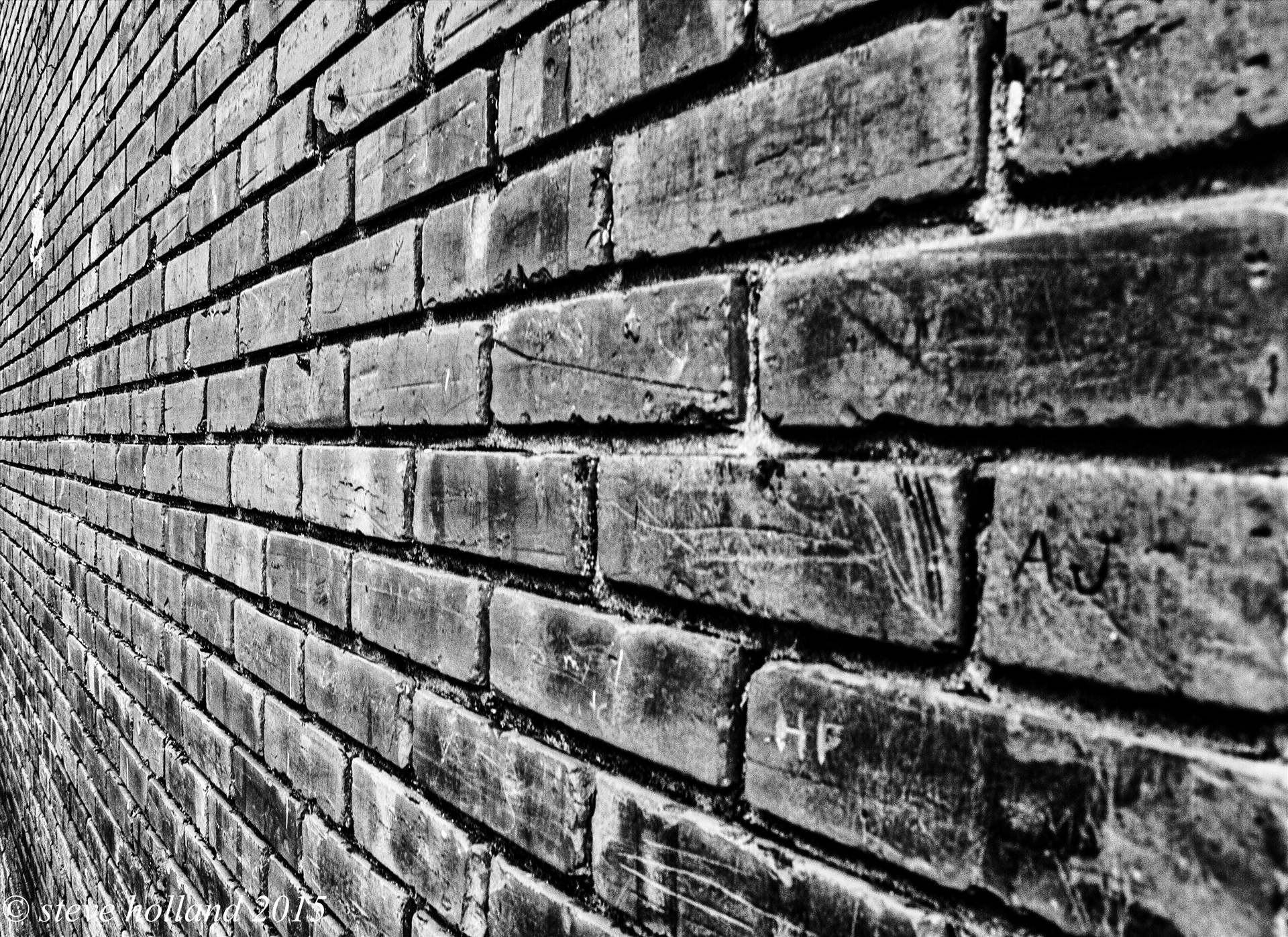 wall (1 of 1).jpg  by Steve Holland
