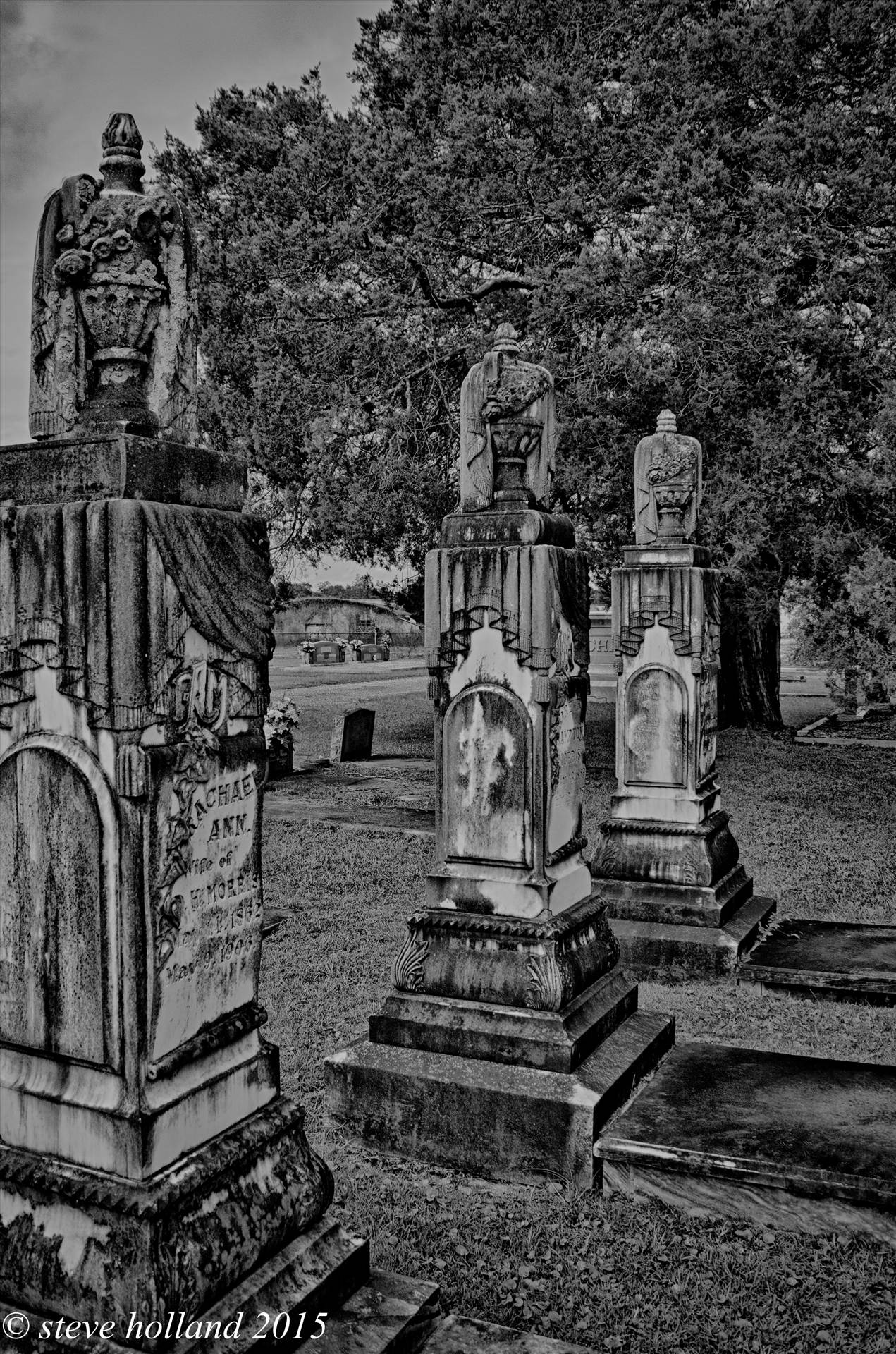 GRAVE (112 of 1).jpg undefined by Steve Holland