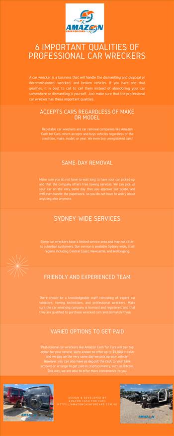 6 Important Qualities of Professional Car Wreckers.png by Amazoncashforcars