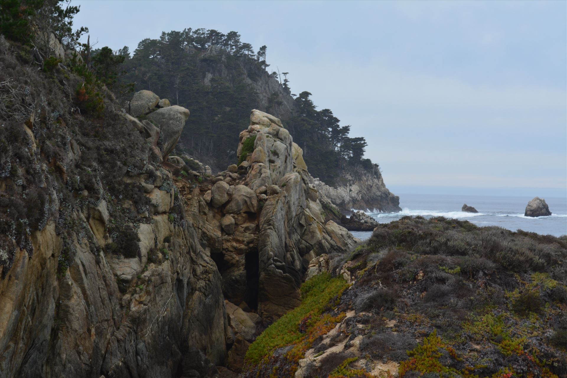 Point Lobos  by Bridget Oates Photography