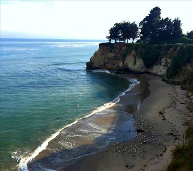 Santa Cruz Opal Cliffs by Bridget Oates Photography