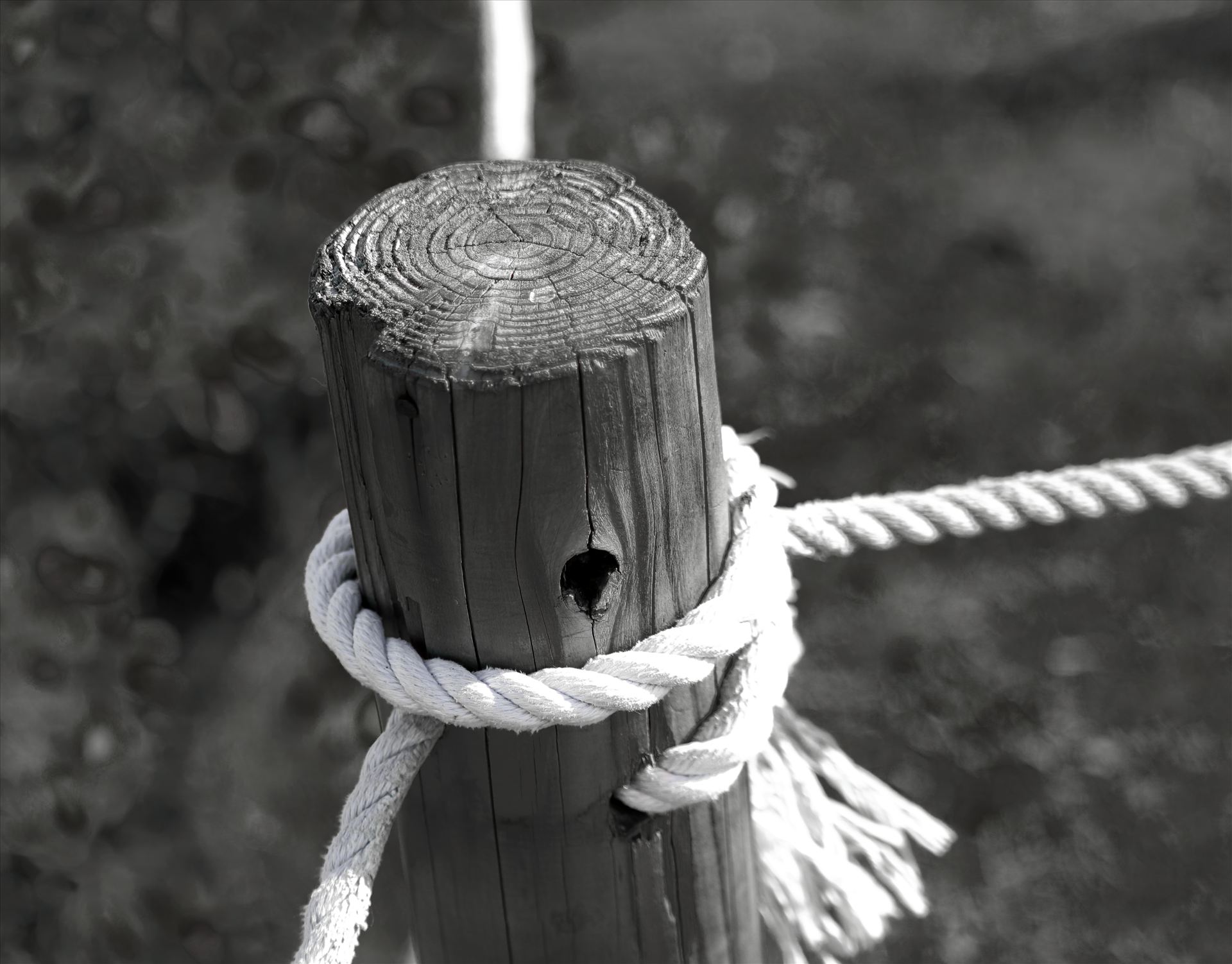 WOOD AND ROPE.JPG  by Goomba707