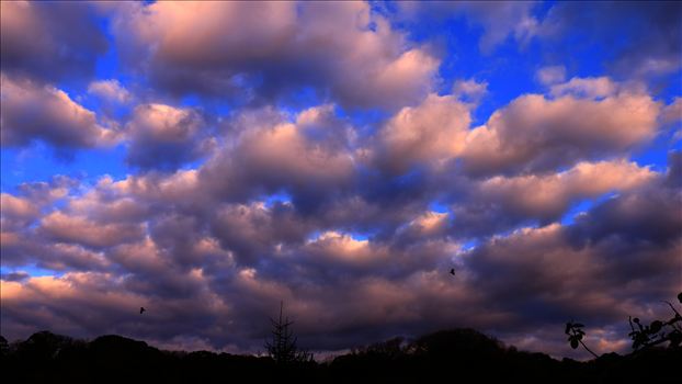 moving skies.JPG by Goomba707