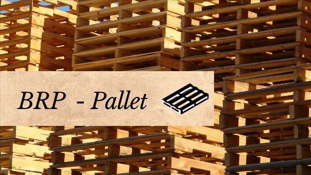 Recovering wood means preserving the environment around us and reducing the environmental impact that wood waste abandoned in landfills produces.

Website: - https://www.brplegno.it/pallet/