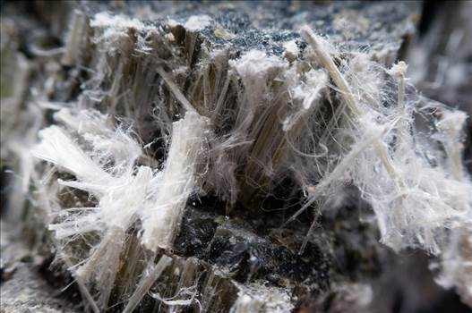 Entsorgenlos - Asbest und Schadstoffsanierung in Bergheim. Wir sanieren Ihr Objekt. Jetzt anrufen 02241-2664987.

Website: - https://www.entsorgenlos.de/asbestsanierung-bergheim/