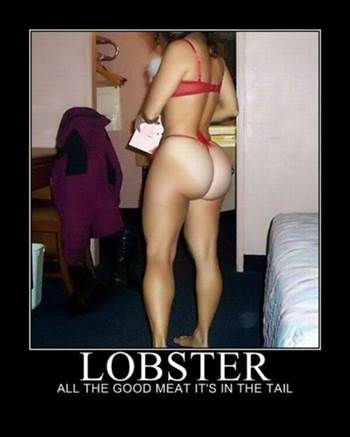 lobster.jpg by jpb