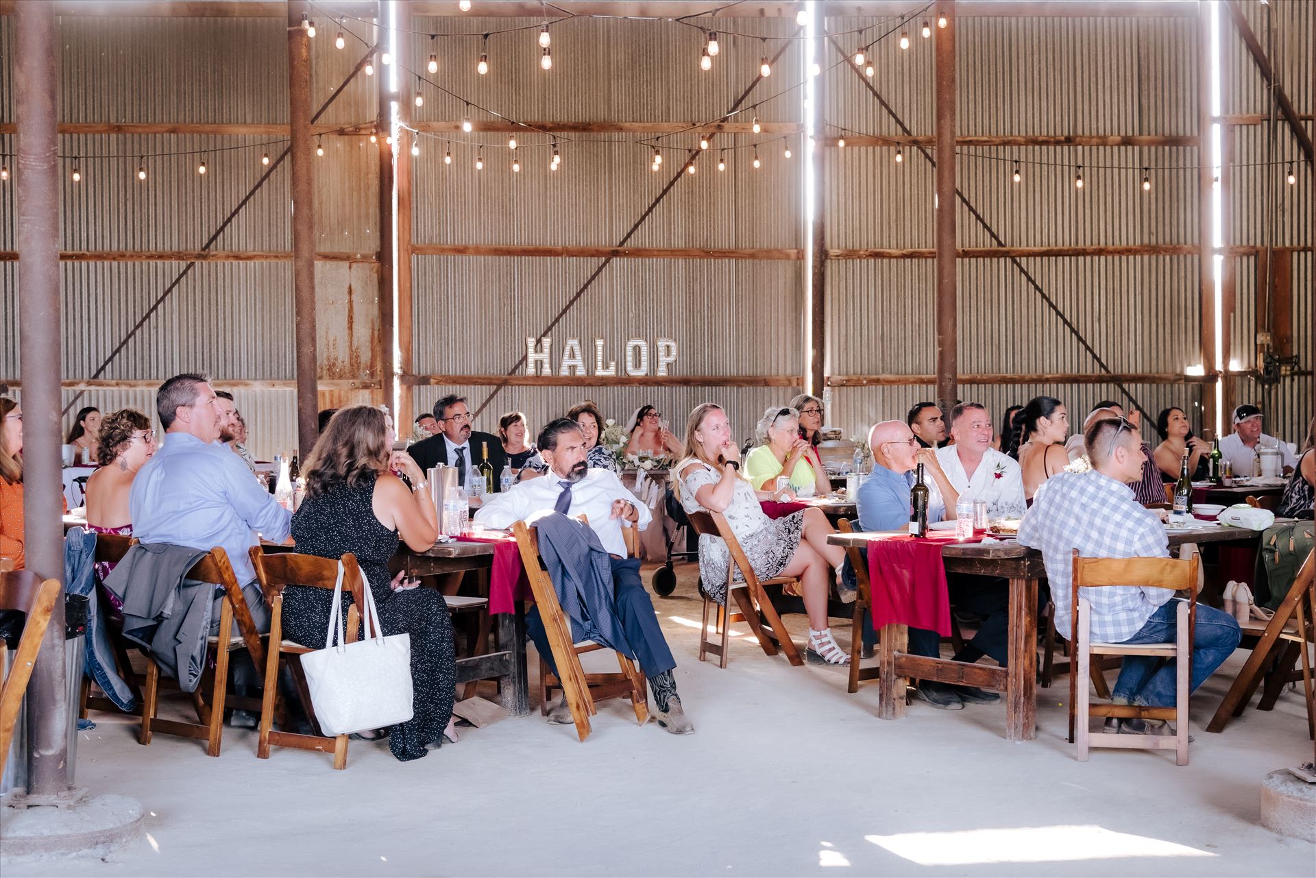 Final-8295.JPG  by Hallop