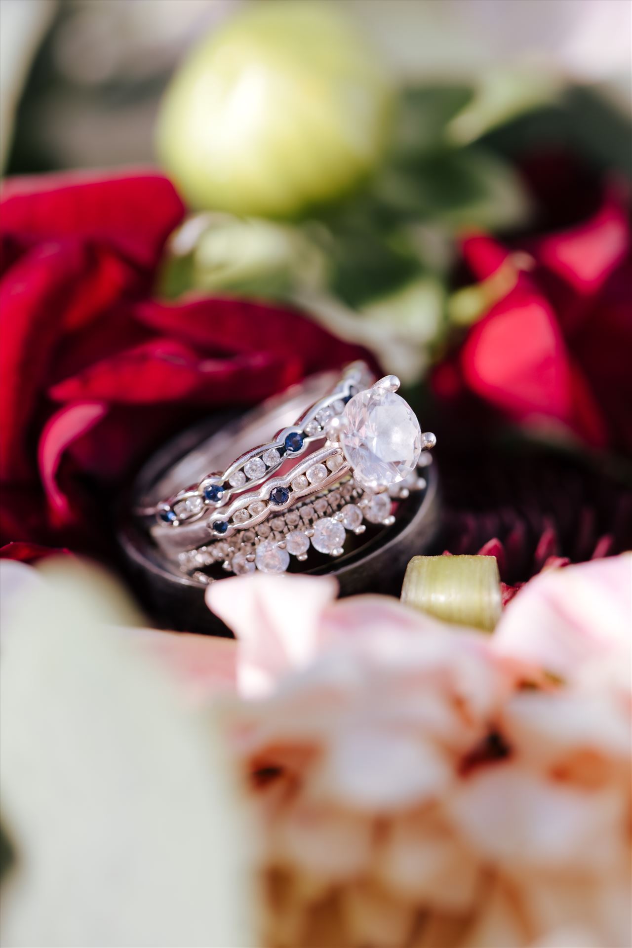 Final-2604.JPG  by Hallop