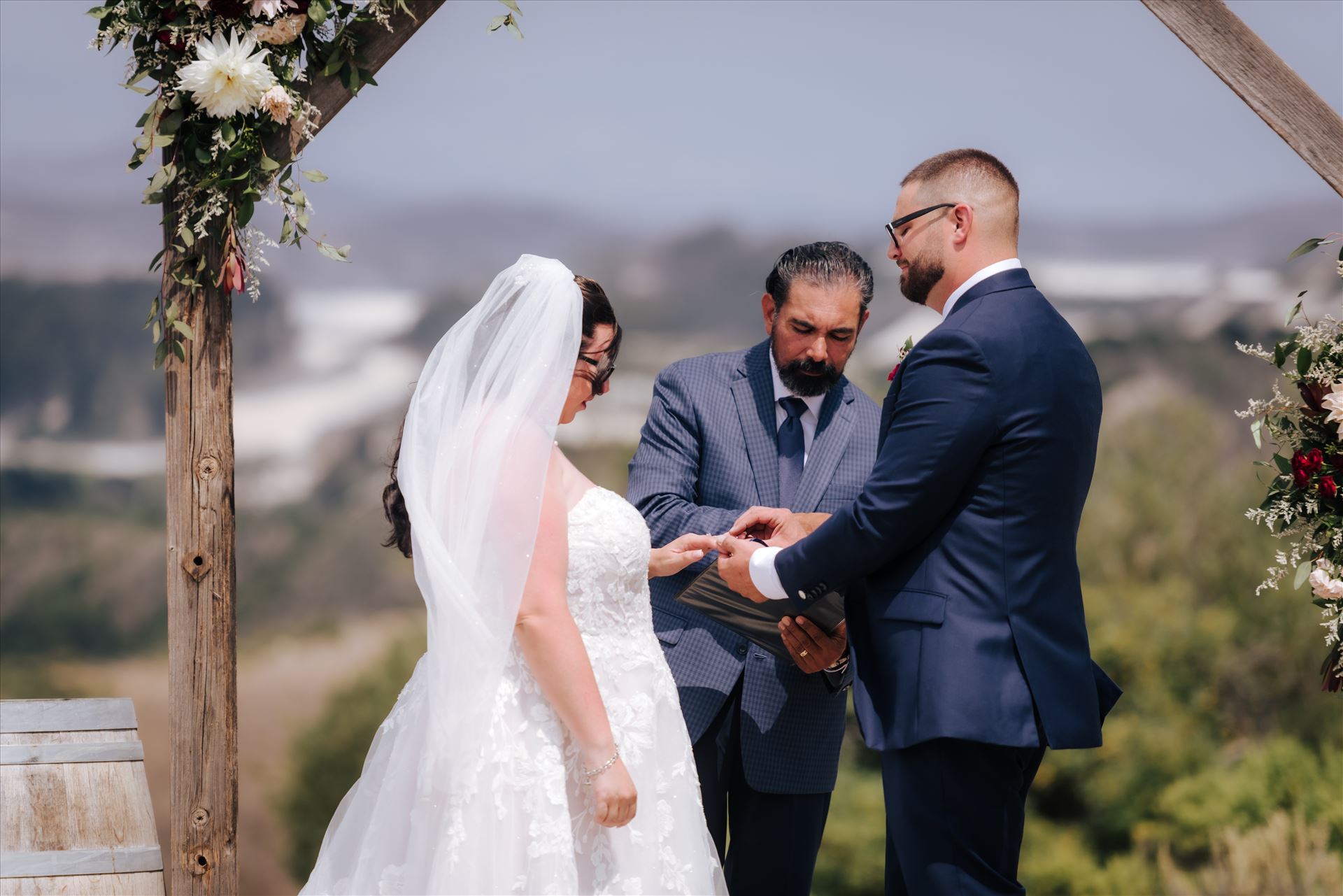 Final-6768.JPG  by Hallop