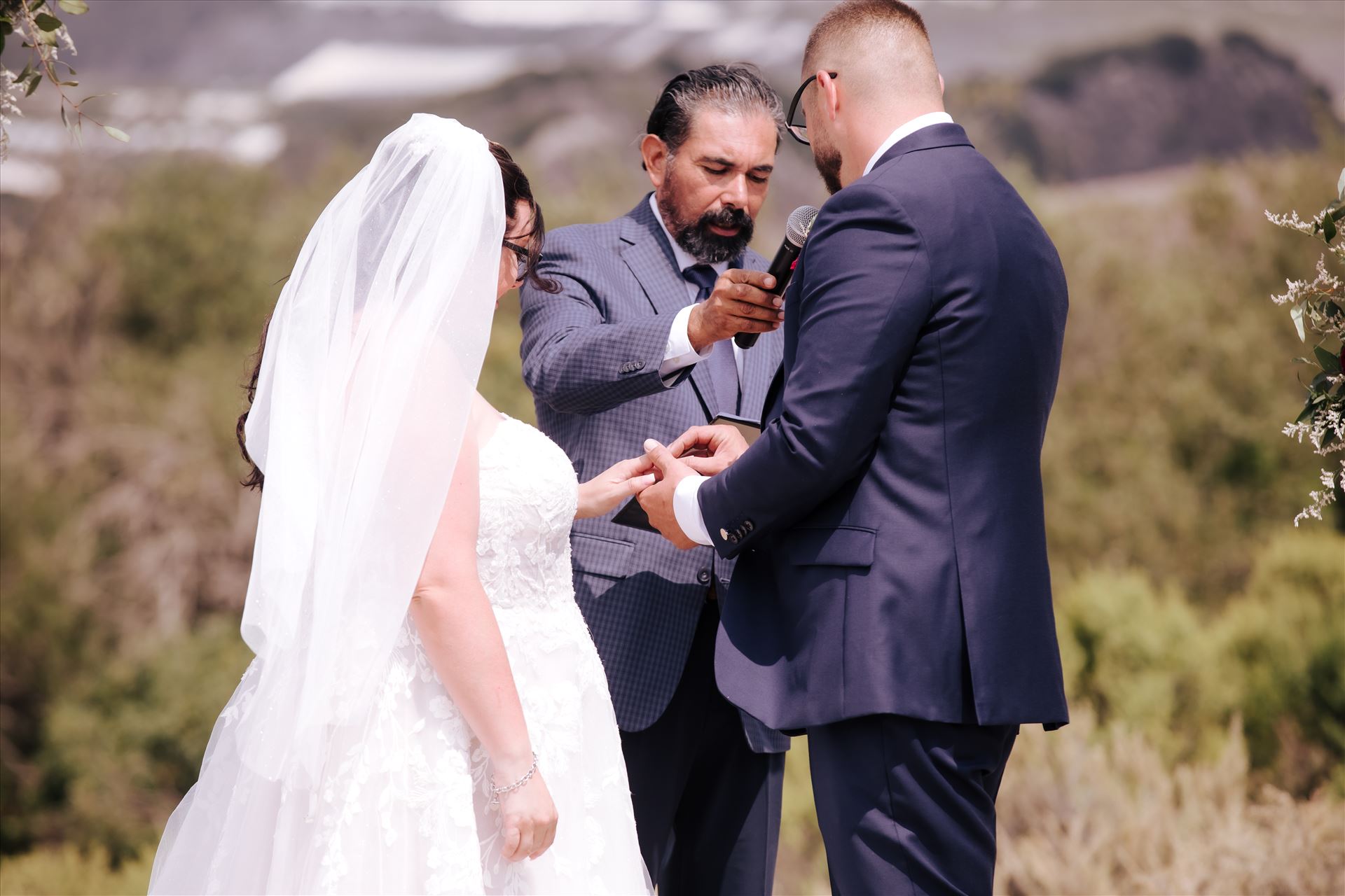 Final-1830.JPG  by Hallop