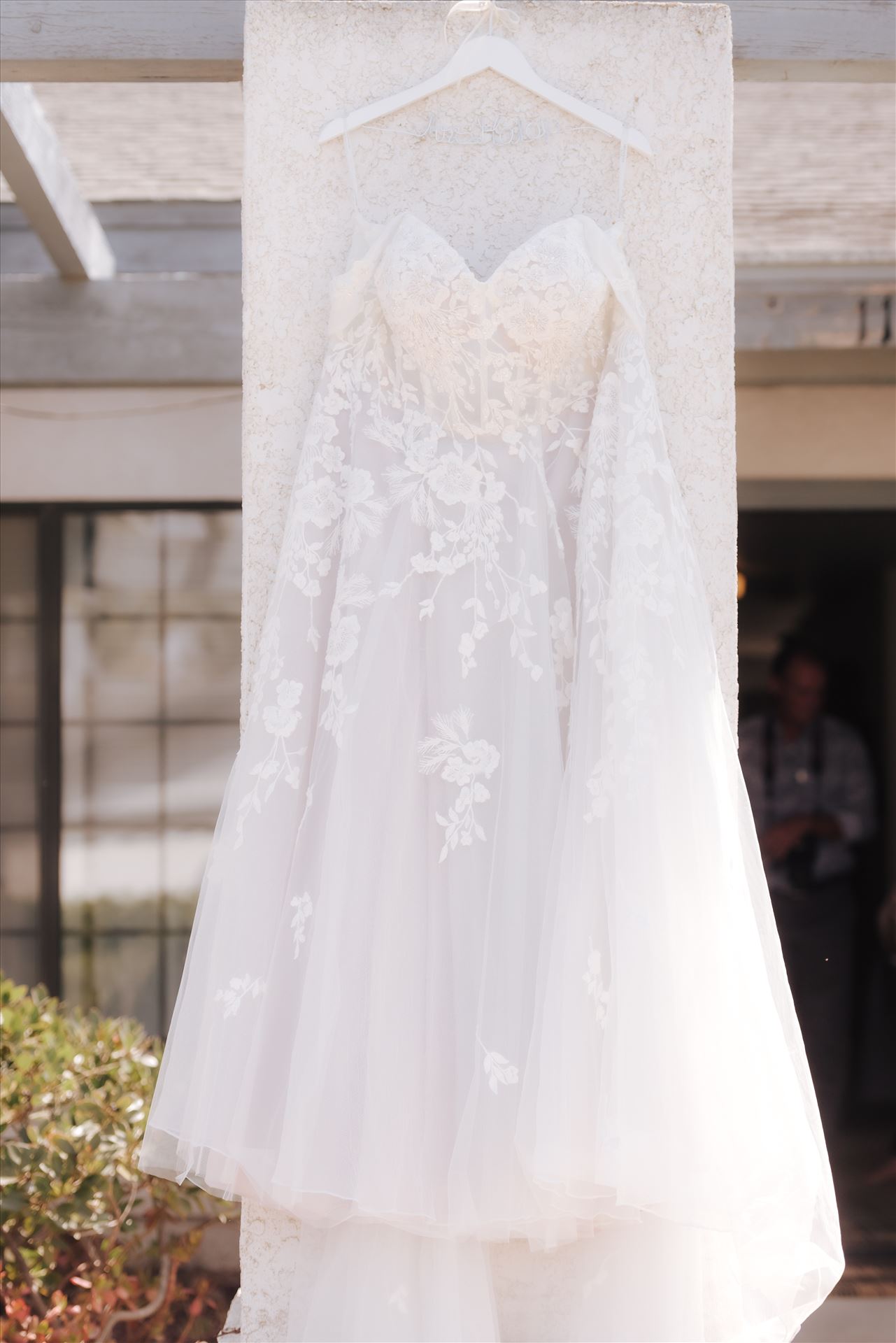 Final-7522.JPG  by Hallop