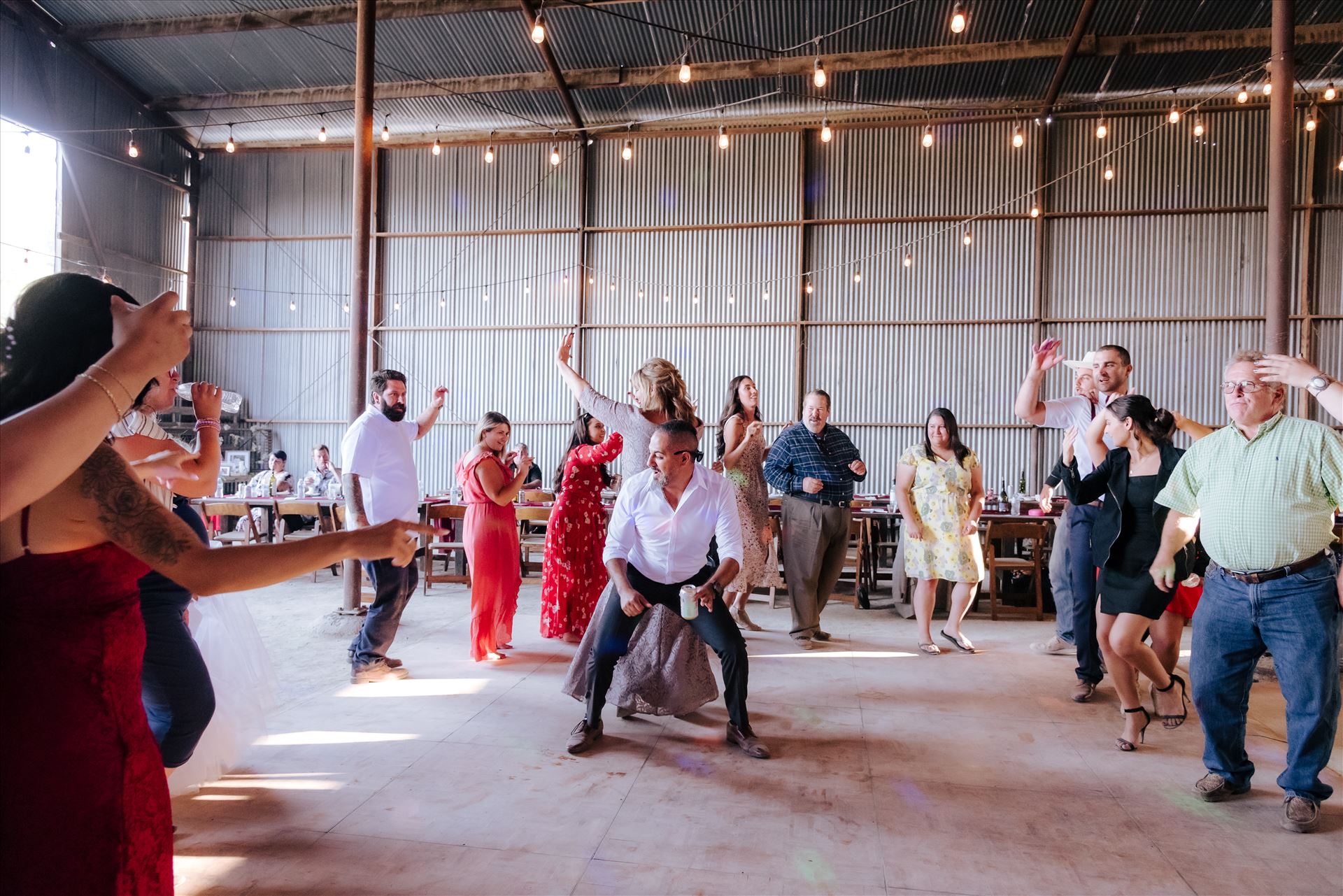 Final-8424.JPG  by Hallop