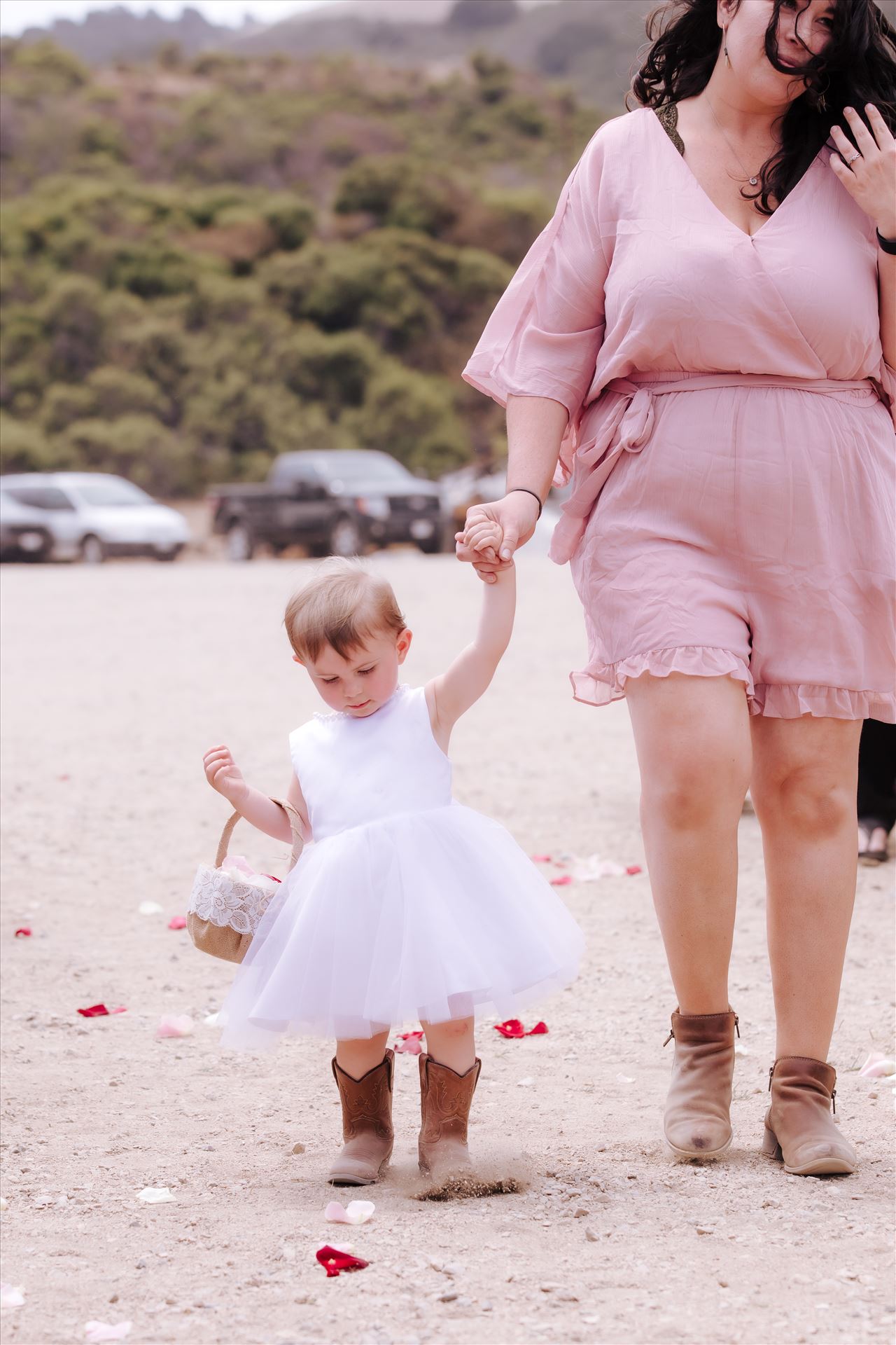 Final-1662.JPG  by Hallop