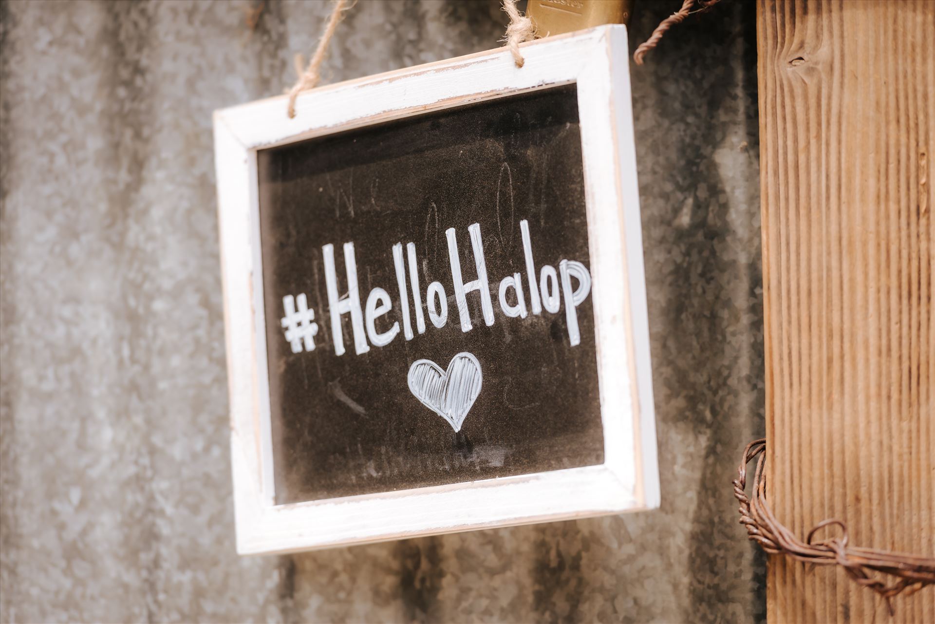 Final-6458.JPG  by Hallop