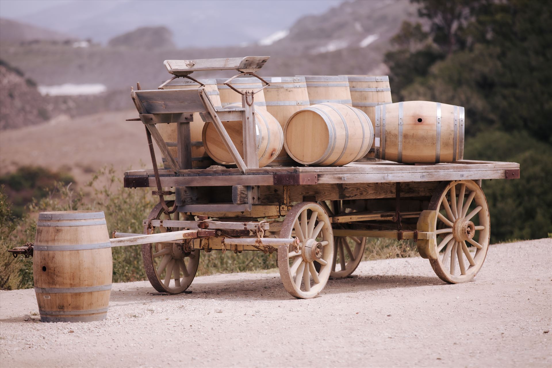 Final-1485.JPG  by Hallop