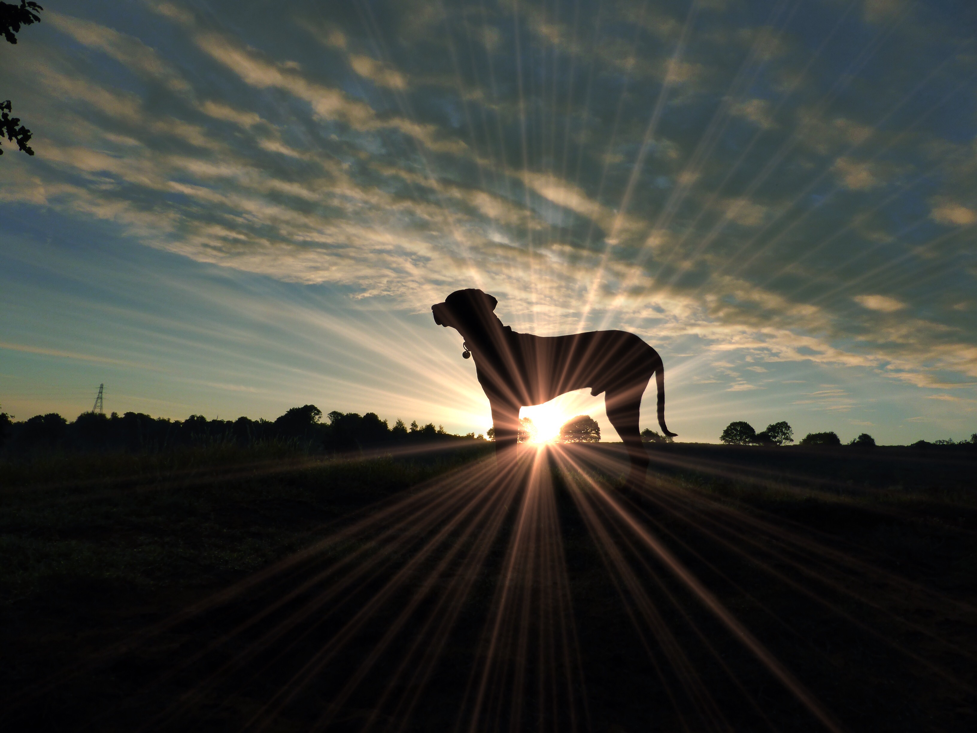 image.jpg  by WPC-37